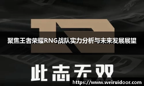 聚焦王者荣耀RNG战队实力分析与未来发展展望