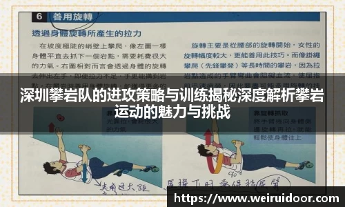 三亿体育APP